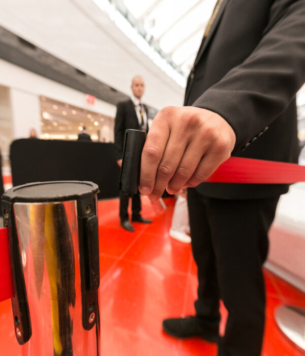 Security staff managing access at an event