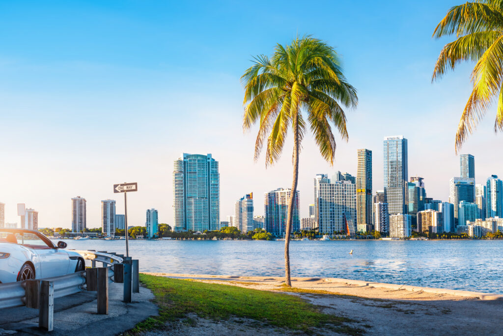 Scenic view of Miami's coastline with palm trees and skyscrapers against a clear blue sky.
